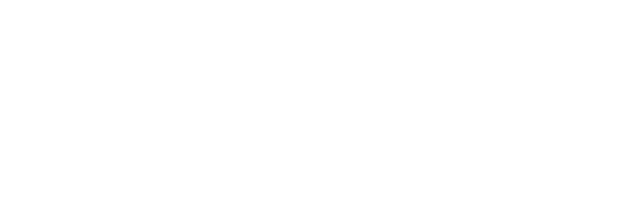 light logo